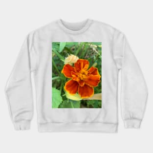 Rusty Orange Marigold Crewneck Sweatshirt